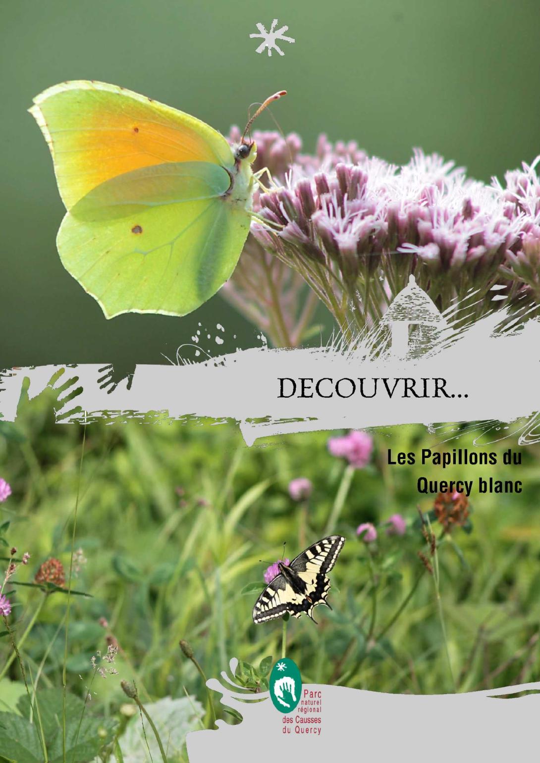 livret_papillons_communs_1.jpg